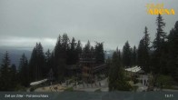 Archived image Webcam Spruce Tree Castle in Zell am Ziller 12:00
