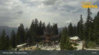 Archived image Webcam Spruce Tree Castle in Zell am Ziller 14:00