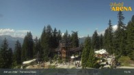 Archived image Webcam Spruce Tree Castle in Zell am Ziller 14:00