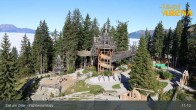 Archived image Webcam Spruce Tree Castle in Zell am Ziller 10:00