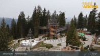 Archived image Webcam Spruce Tree Castle in Zell am Ziller 02:00