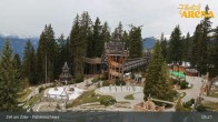 Archived image Webcam Spruce Tree Castle in Zell am Ziller 04:00