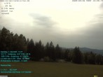 Archiv Foto Webcam der Ferienwohnung Thieme 11:00