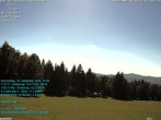 Archived image Webcam in Lackenhäuser 11:00