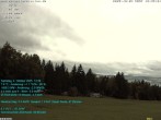 Archiv Foto Webcam der Ferienwohnung Thieme 11:00