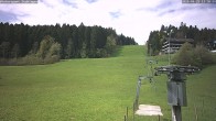 Archived image Webcam Black Forest - Lauterbad 11:00