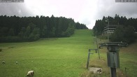 Archiv Foto Webcam Freudenstadt-Lauterbad 13:00