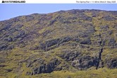 Archived image Webcam Top Station Glencoe Mountain 10:00