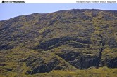 Archived image Webcam Top Station Glencoe Mountain 12:00