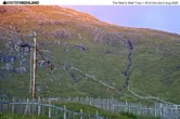Archiv Foto Webcam Glencoe Mountain - Schlepplift &#39;The Wall&#39; 04:00