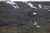 Archiv Foto Webcam Glencoe Mountain - Cliffhanger Sessellift 14:00