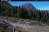 Archived image Webcam Glencoe Mountain - Base Cafe 07:00
