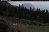 Archiv Foto Webcam Glencoe Mountain - Talstation - Cafe 14:00