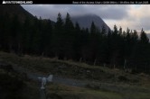 Archiv Foto Webcam Glencoe Mountain - Talstation - Cafe 08:00