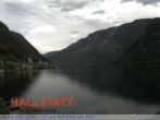 Archiv Foto Webcam Blick auf Hallstatt und den Hallstättersee 11:00