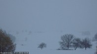 Archiv Foto Webcam Forggensee - Blick vom Berghof Kinker 15:00