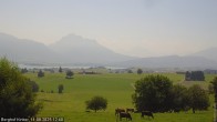 Archiv Foto Webcam Forggensee - Blick vom Berghof Kinker 11:00