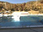 Archiv Foto Webcam Freibad Blaubeuren 13:00