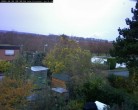 Archiv Foto Webcam Burgauer Wald 07:00