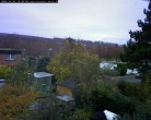 Archiv Foto Webcam Burgauer Wald 11:00