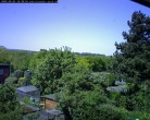 Archiv Foto Webcam Burgauer Wald 11:00