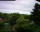 Archiv Foto Webcam Burgauer Wald 11:00