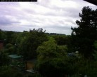Archiv Foto Webcam Burgauer Wald 11:00