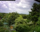 Archiv Foto Webcam Burgauer Wald 11:00