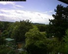 Archiv Foto Webcam Burgauer Wald 15:00