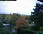 Archiv Foto Webcam Burgauer Wald 09:00