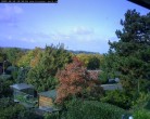 Archiv Foto Webcam Burgauer Wald 11:00