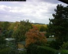 Archiv Foto Webcam Burgauer Wald 13:00