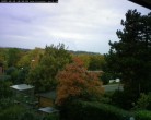 Archiv Foto Webcam Burgauer Wald 15:00