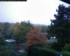 Archiv Foto Webcam Burgauer Wald 09:00