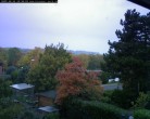 Archiv Foto Webcam Burgauer Wald 11:00