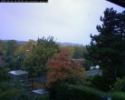 Archiv Foto Webcam Burgauer Wald 13:00