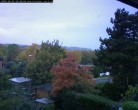 Archiv Foto Webcam Burgauer Wald 15:00