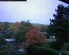 Archiv Foto Webcam Burgauer Wald 17:00