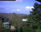 Archiv Foto Webcam Burgauer Wald 10:00
