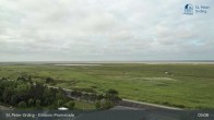 Archived image Webcam Promenade St. Peter-Ording 08:00