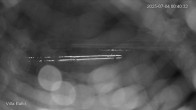Archiv Foto Webcam Ostseebad Binz - Strandpromenade 23:00