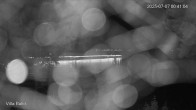 Archiv Foto Webcam Ostseebad Binz - Strandpromenade 23:00