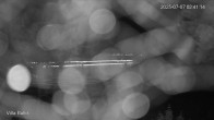 Archiv Foto Webcam Ostseebad Binz - Strandpromenade 01:00