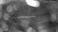 Archiv Foto Webcam Ostseebad Binz - Strandpromenade 01:00
