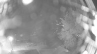 Archiv Foto Webcam Rügen: Schmachter See bei Binz 23:00
