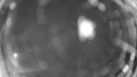 Archiv Foto Webcam Rügen: Schmachter See bei Binz 01:00