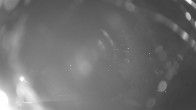Archiv Foto Webcam Rügen: Schmachter See bei Binz 01:00