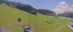 Archiv Foto Webcam Patscherkofel Talstation 11:00