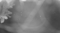 Archived image Webcam Waging: Sailing Harbor 23:00