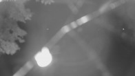 Archiv Foto Webcam Segelhafen Waginger See 01:00